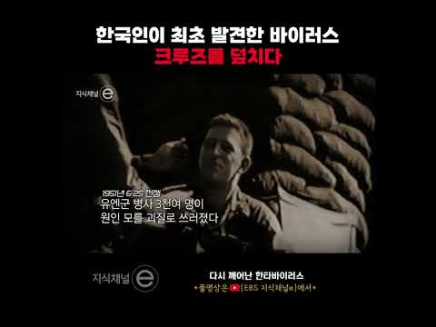 다시 세계를 긴장시킨 ‘한타바이러스’, 그 이름은 왜 한국의 강에서 시작됐을까? #shorts