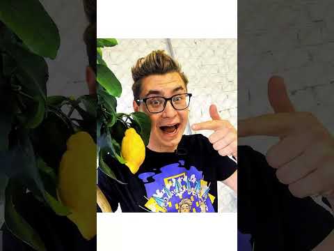 а4 \ канал а4 \ видео влад бумага \ а4 канал #марка4 #шортс #ривиа4 #реки #тренды #shorts #а4топ