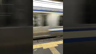 【静かな通過音】E217系 Y-5編成+Y-141編成 永田駅通過