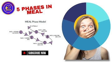 Five phases of Monitoring, Evaluation, Accountability and Learning (MEAL) Cycle