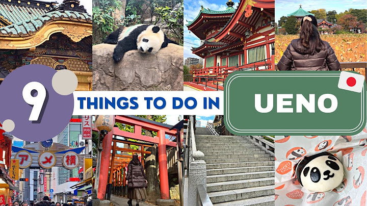 9 things to do in  UENO, TOKYO 🐼 (Japan Travel Guide)