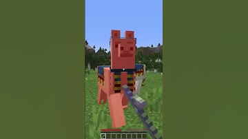 How to actually trade with a WANDERING TRADER