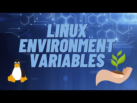 How to share environment variables in Linux across Bash, Python, .NET and more.