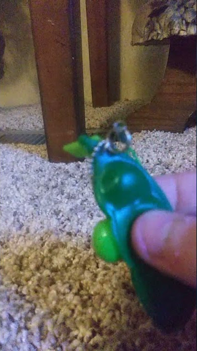 pea poper a toy