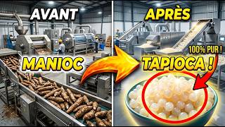 Cette Usine Transforme Le Manioc En Amidon De Tapioca...processus Complet.
