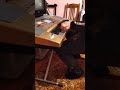 Mikayil Mammedov - KÖSTEBEK reksi yeni 2025
