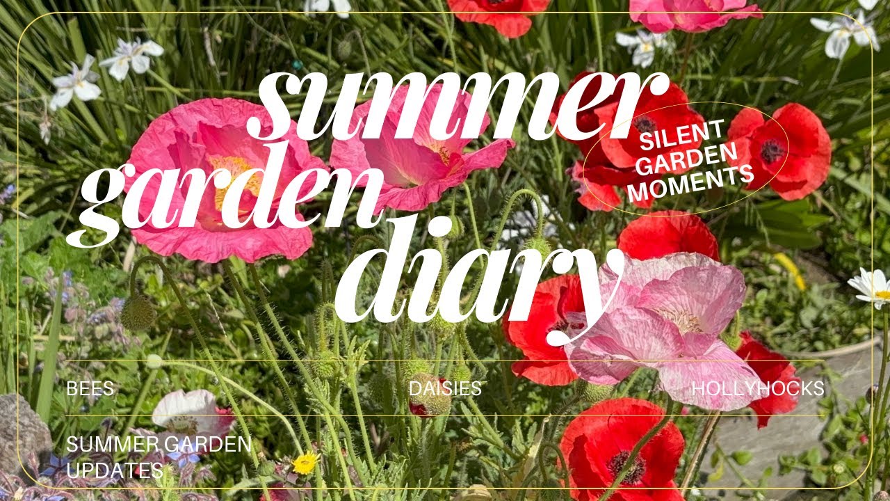Silent summer garden daydream ❀°⋆✿