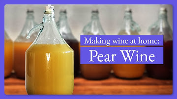 Making pear wine from juice (Part 1)