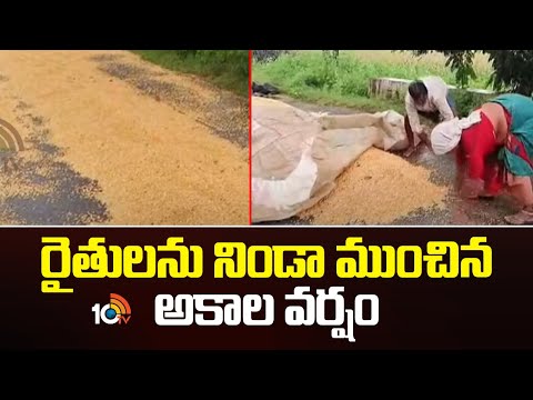 రైతులను నిండా ముంచిన అకాల వర్షం | Untimely Rainfall Damages Crops in Nizamabad | 10TV - 10TVNEWSTELUGU