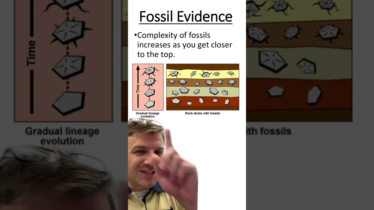 Fossils