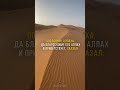 Чистка зубов перед молитвой  #ислам #религия #хадис #вера  #гигиена
