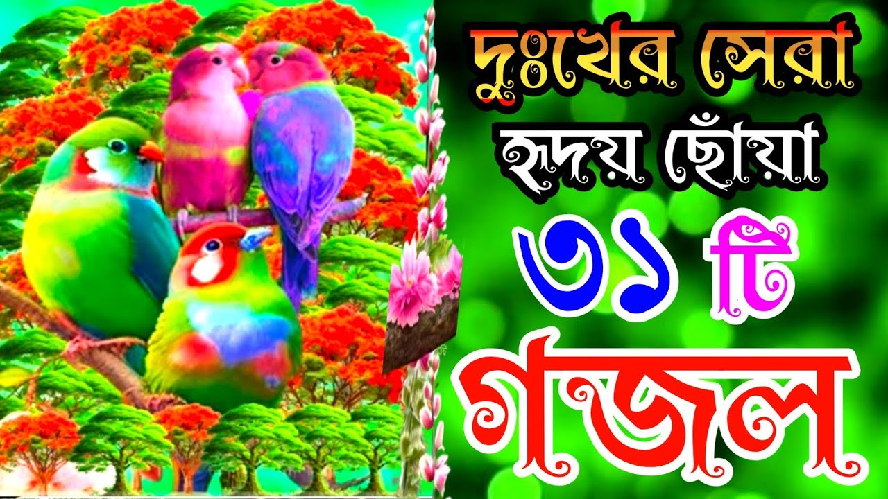 দুঃখের সেরা হৃদয় ছোঁয়া ৩১টি গজল |বাংলা বাছাইকৃত গজল |Selected Gajal |Best Bangla Gojol |New Gazal 