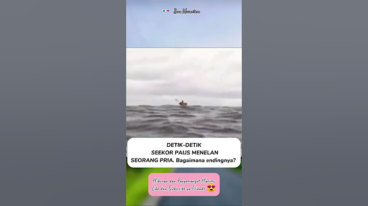 Seorang Pria di Telan Paus 😲