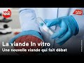 Mangeronsnous bientt de la viande in vitro 