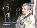 Упрямый фермер из села Шурышкары твердо намерен жить собственным умом и руками