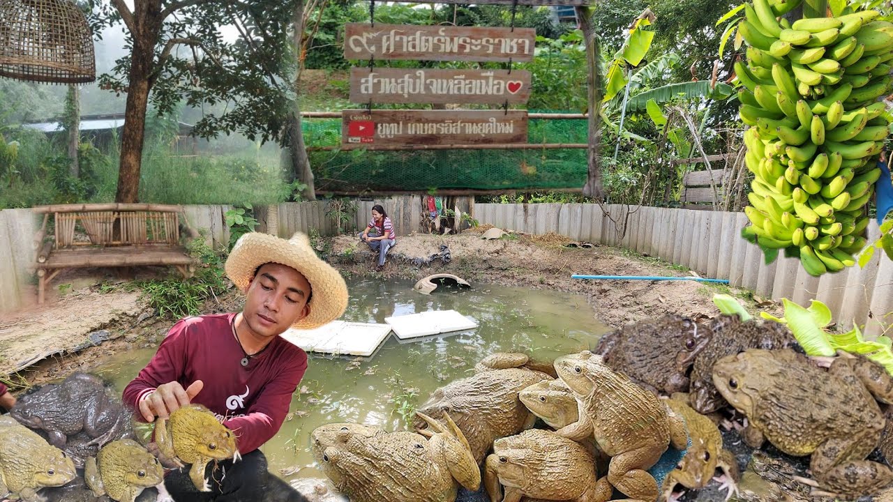 การเลี้ยง