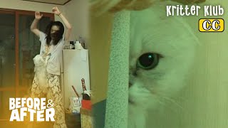 Кот Страдает Маниакально-Депрессивным Расстройством После... | До И После Makeover Ep 61