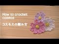 【かぎ針編み】コスモスの編み方 How to crochet cosmos