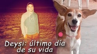 17 Deysi, el último día de vida...