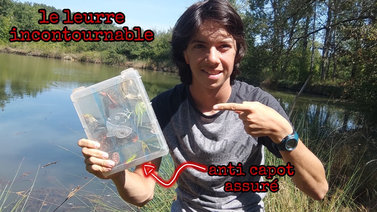 Test One Up Shad Sawamura - Leurre souple pêche carnassiers - Avis