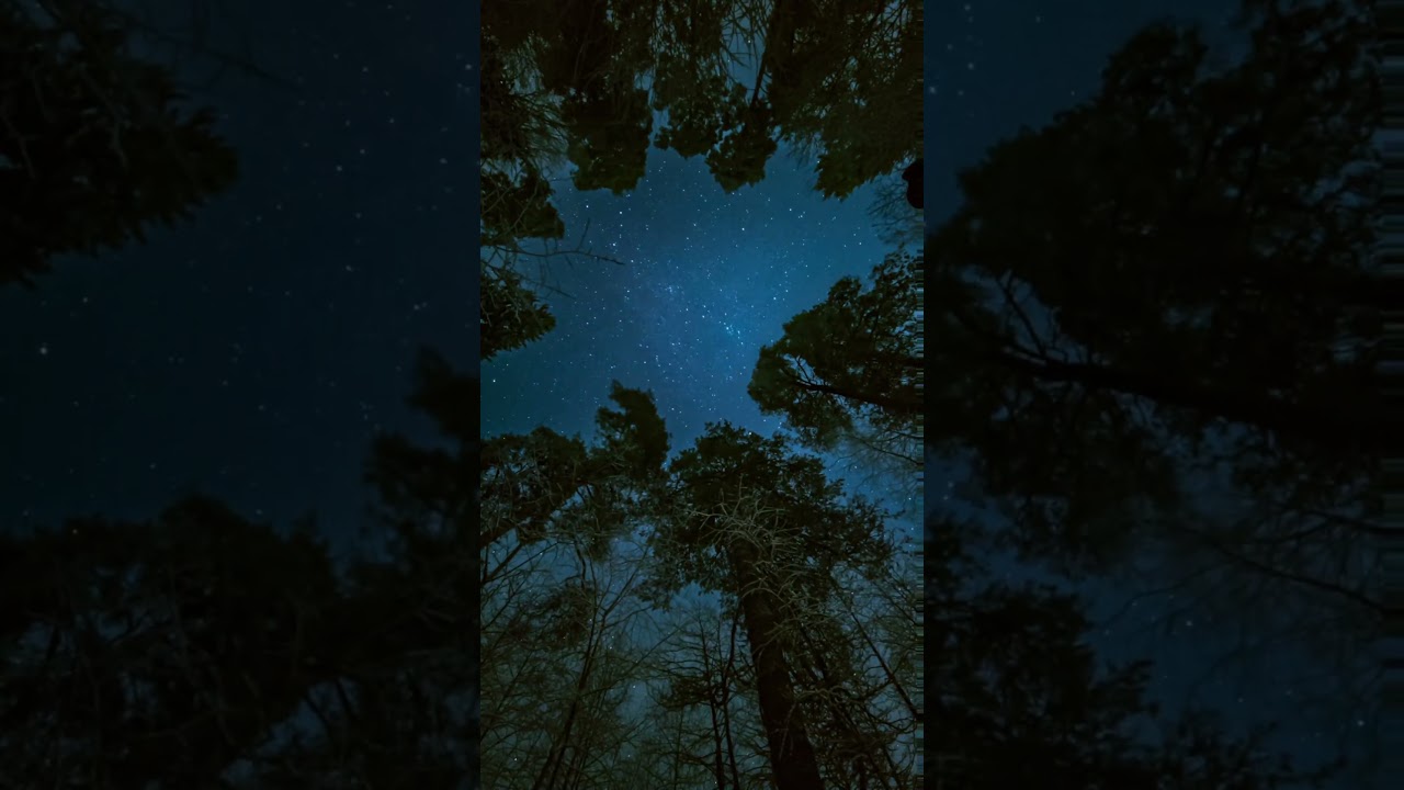 The Glitch Symphony - Stars (The Lights Go Out)