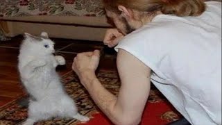 Funny Moments of Cats | Funny Video Compilation  Synth Groove #48