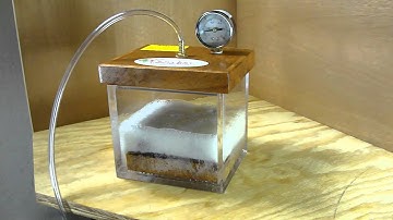 Working with MesquiteMan