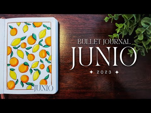 BULLET JOURNAL JUNIO 2023 | June Plan with me 2023