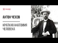 Краткая анатомия человека. Антон Чехов. Аудиорассказ