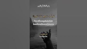 عبد الباسط عبد الصمد تلاوة خاشعة حالات واتساب قران كريم 🩵🍁🍁💙 #حالات_واتس_اب
