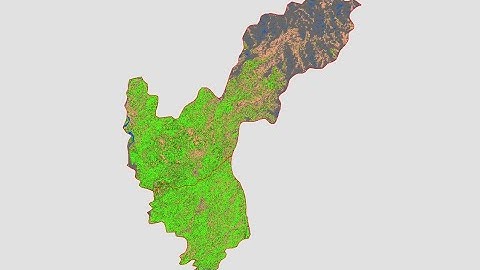 How to Calculate NDVI using in ArcMap in Urdu/Hindi