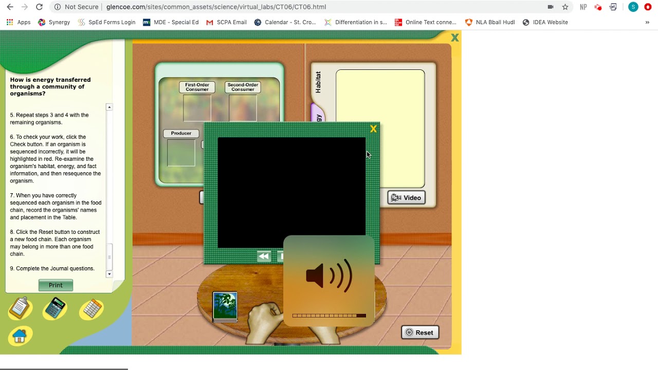 Virtual Lab - Food Chains: Instructions - YouTube