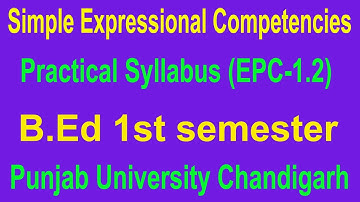 Simple Expressional Competencies Practical Syllabus Practical File B.ed 1st semester PU Chandigarh