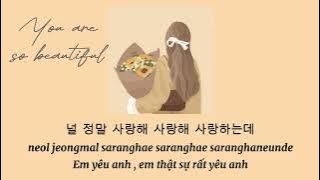 (Vietsub ) You are so beautiful (cover by Sasablue ) ｜ 你真漂亮- sasablue
