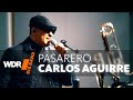 Capture de la vidéo Raul Midón, Vince Mendoza & Wdr Big Band - Pasarero