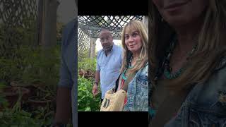 How to harvest 6000 #Tomato and 80lbs #Celery How to harvest 6000 #Tomato and 80lbs #Celery