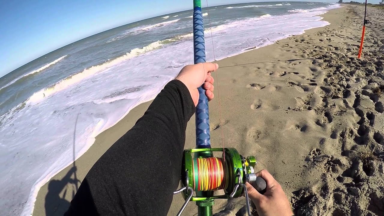 Shark Fishing In Florida YouTube