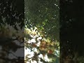 Zacznij tam, gdzie stoisz. Użyj tego, co masz. Rób co możesz
