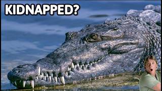 Download Lagu Steve Irwin's Famous Crocodile Was KIDNAPPED MP3 Download Lagu Steve Irwin's Famous Crocodile Was KIDNAPPED MP3