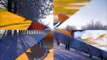 سورة المطففين  برواية خلف عن حمزة  -  د . يوسف عبدالكريم أبوسمرة حنني.