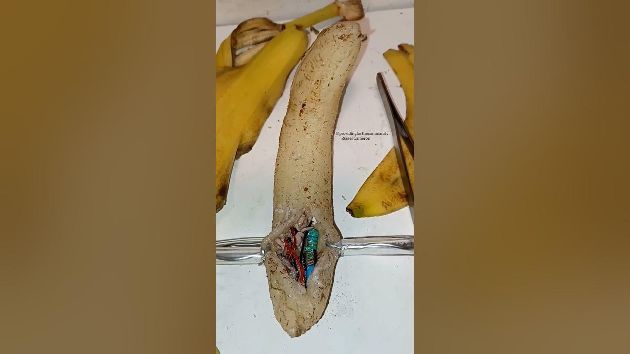 lab banana is not well.