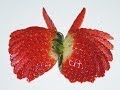 Butterfly made of strawberry  by jpereira art carving fruit