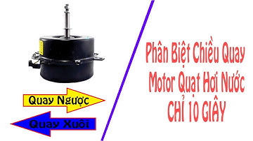 Phân biệt chiều quay motor quạt hơi nước chính xác 100% trong 3 giây