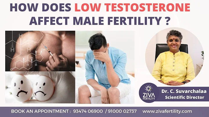 Low Testosterone Affect Male Fertility | Reproductive Infertility | Dr C Suvarchala | ZIVA Fertility