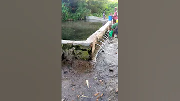 MAAJABU MAJI MOTO MPANDA 