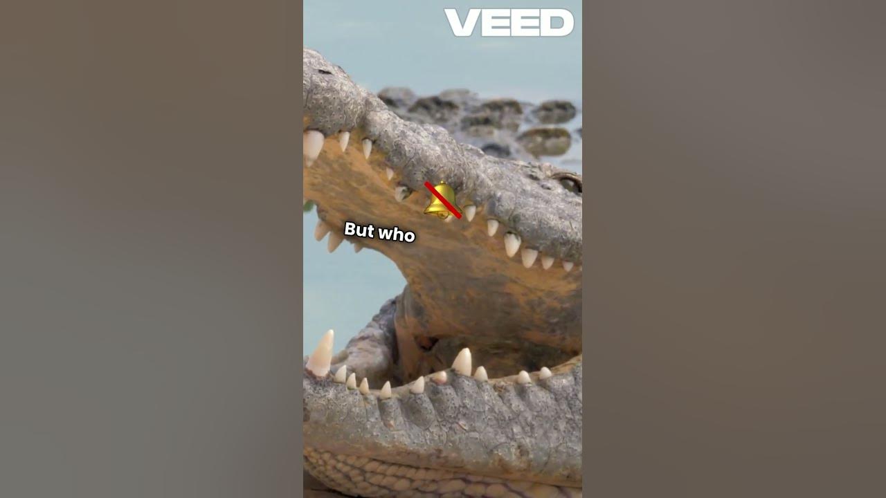 Crocodile vs. Alligator: Who Would Win in a Fight? (Ultimate Showdown