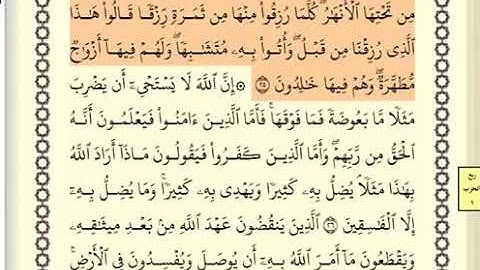 سورة البقرة الصفحة 5 من الآية 25 الى 29 عبدالباسط عبدالصمد مجود