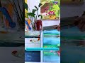 Corner Aquarium Shelf with Hydroponics &amp; Storage | Kệ góc bể cá đa năng trồng cây &amp; để đồ #aquarium