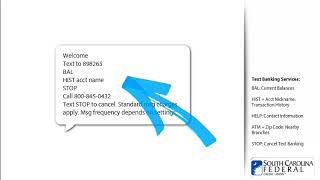Mobile banking app: Text Banking