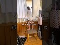 油断も隙もあったもんじゃない！#shorts